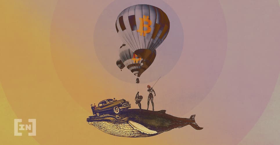 Novo indicador de Bitcoin mostra quando baleias tentam provocar queda de preço