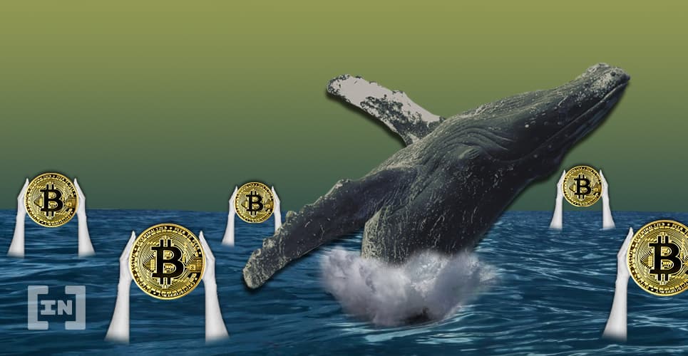 Menos Bitcoin nas Exchanges pode indicar HODL massivo