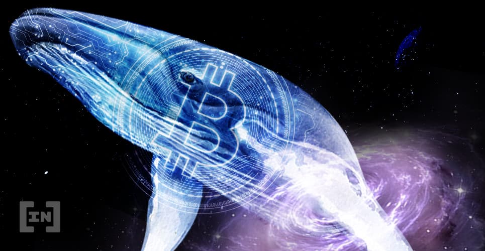 R$541 Milhões em Bitcoins é Transacionado Entre Carteiras
