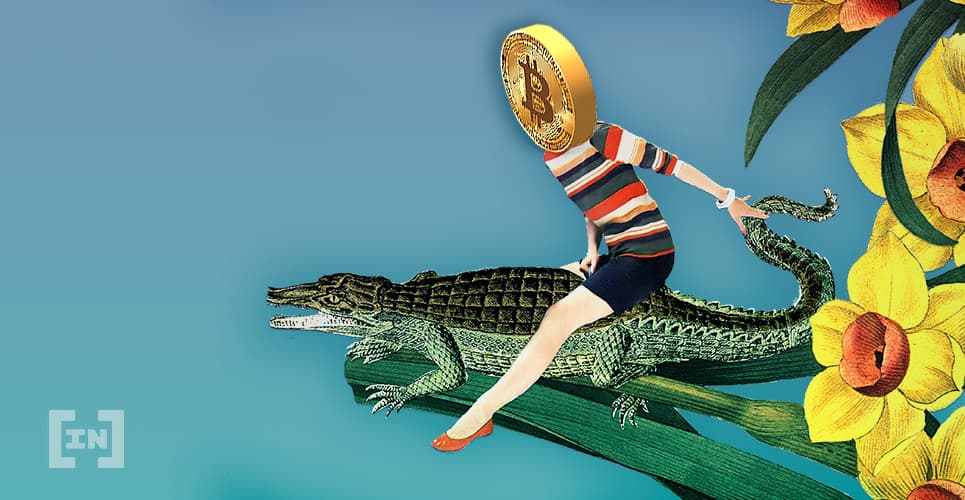 Altcoins &#8216;Fora de Temporada&#8217;, Analista de Criptomoedas Muda Portfólio Para 100% BTC