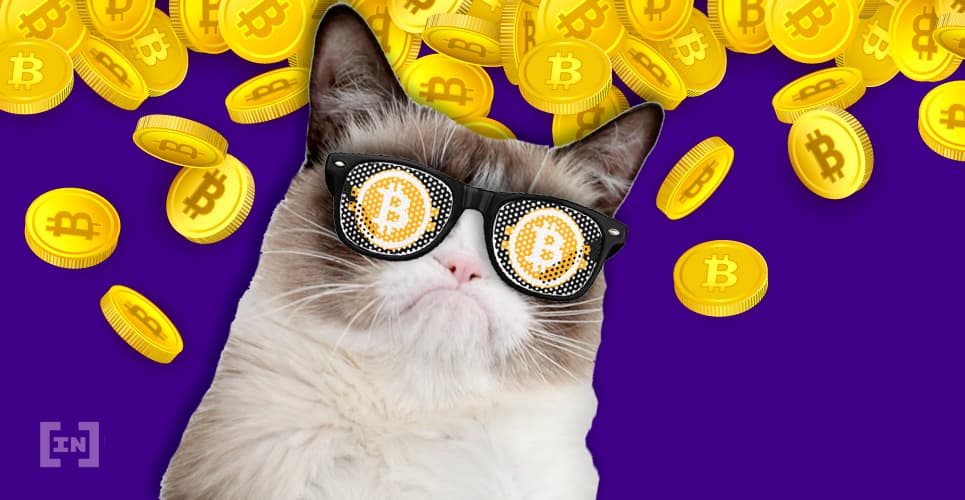 Fundos de Criptomoedas em Alta na Crise