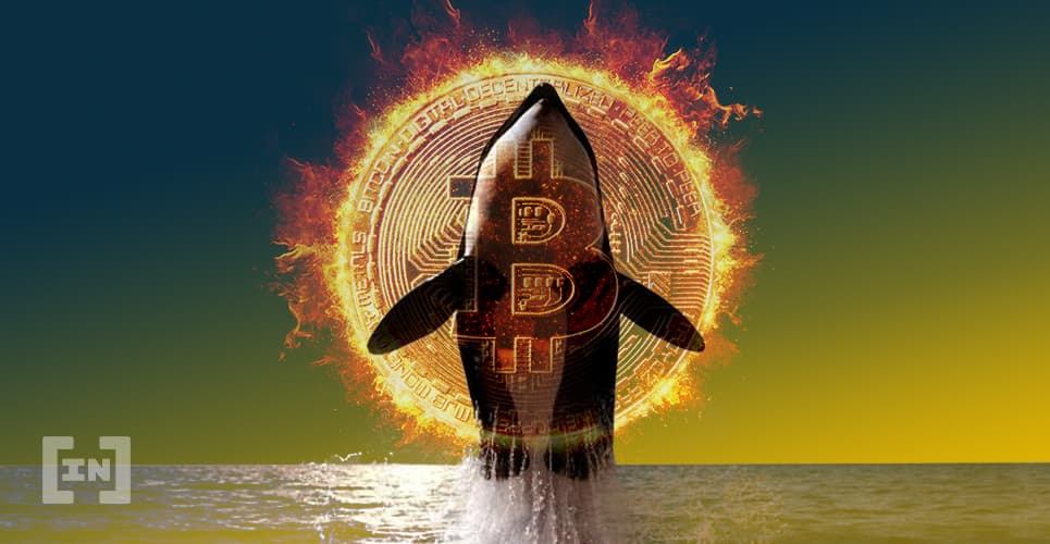 Exchanges recebem R$ 900 milhões enquanto Bitcoin bate novo preço recorde