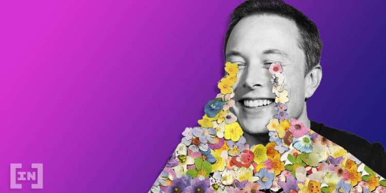 Elon Musk pode comandar Twitter temporariamente após aquisição