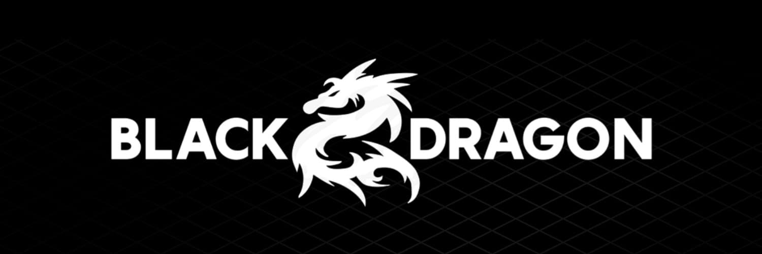 AMA do BlackDragon com o BeInCrypto