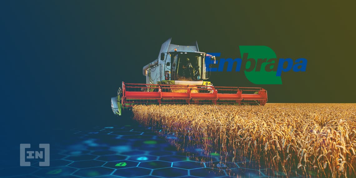 Os principais projetos de cripto e blockchain para o agronegócio na América do Sul