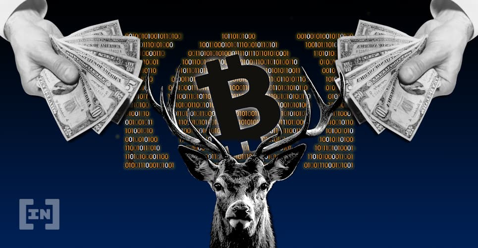 Fintech brasileira aceita bitcoin como garantia para empréstimos e prevê ganho de R$ 100 mi