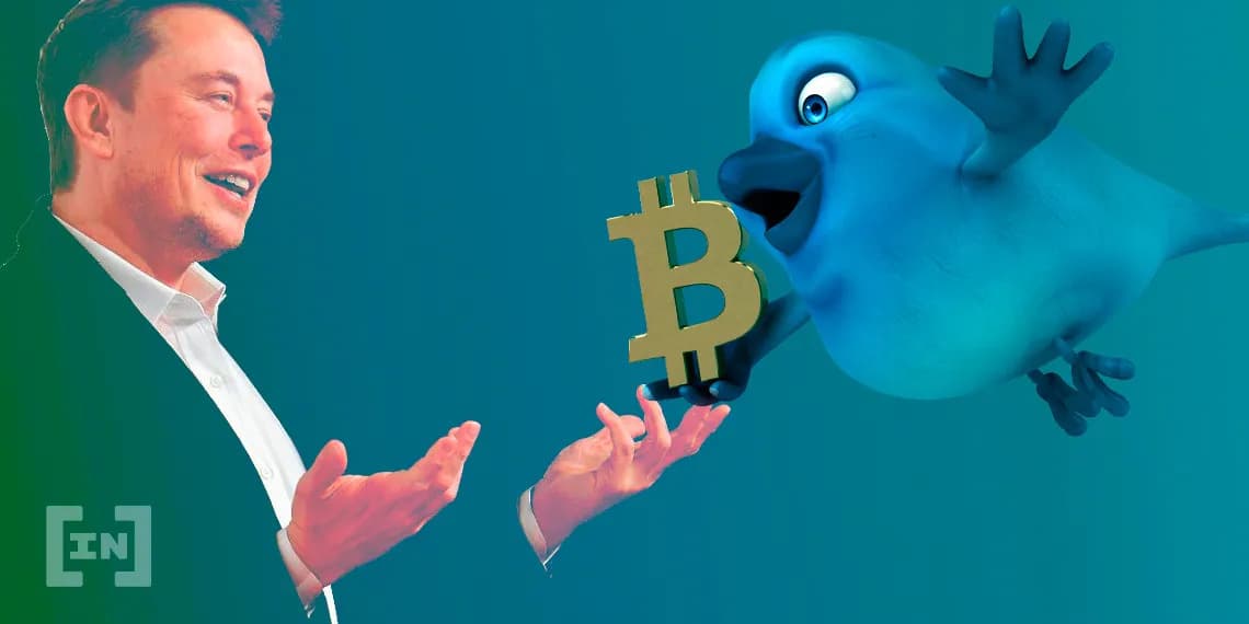 Conselheiros do Twitter querem Elon Musk como chefe