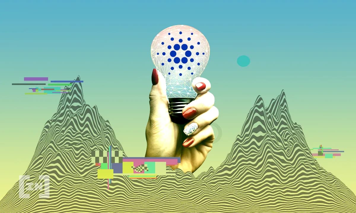 Floresta da Cardano bate meta e planta 1 milhão de árvores