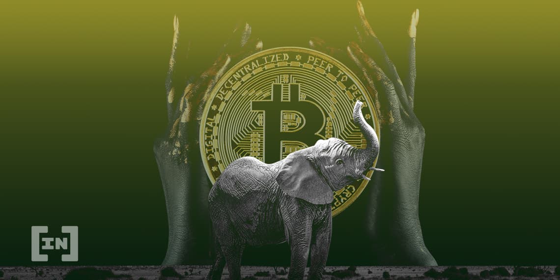 Uso de criptomoedas cresceu 2.500% na África em 2021, diz relatório