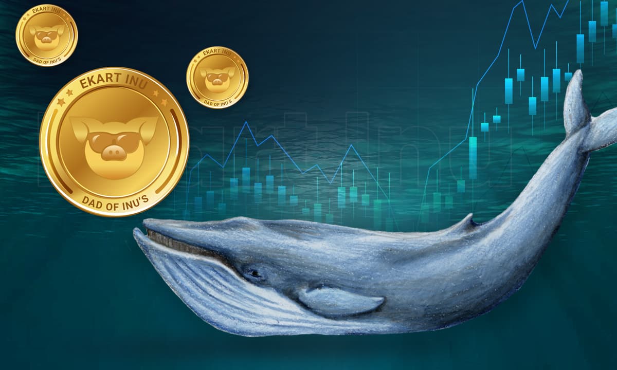 Baleia move US$ 500 milhões em BTC em uma transação