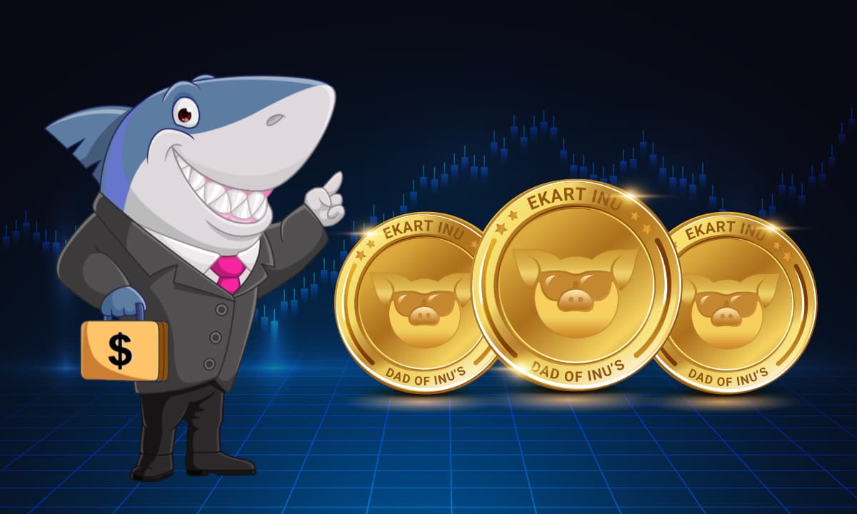 Grandes players detêm 19% dos tokens Ekart Inu e EAID?