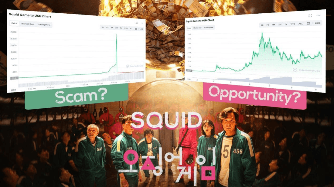 Squid Coin: o fim do scam ou o início de uma nova comunidade