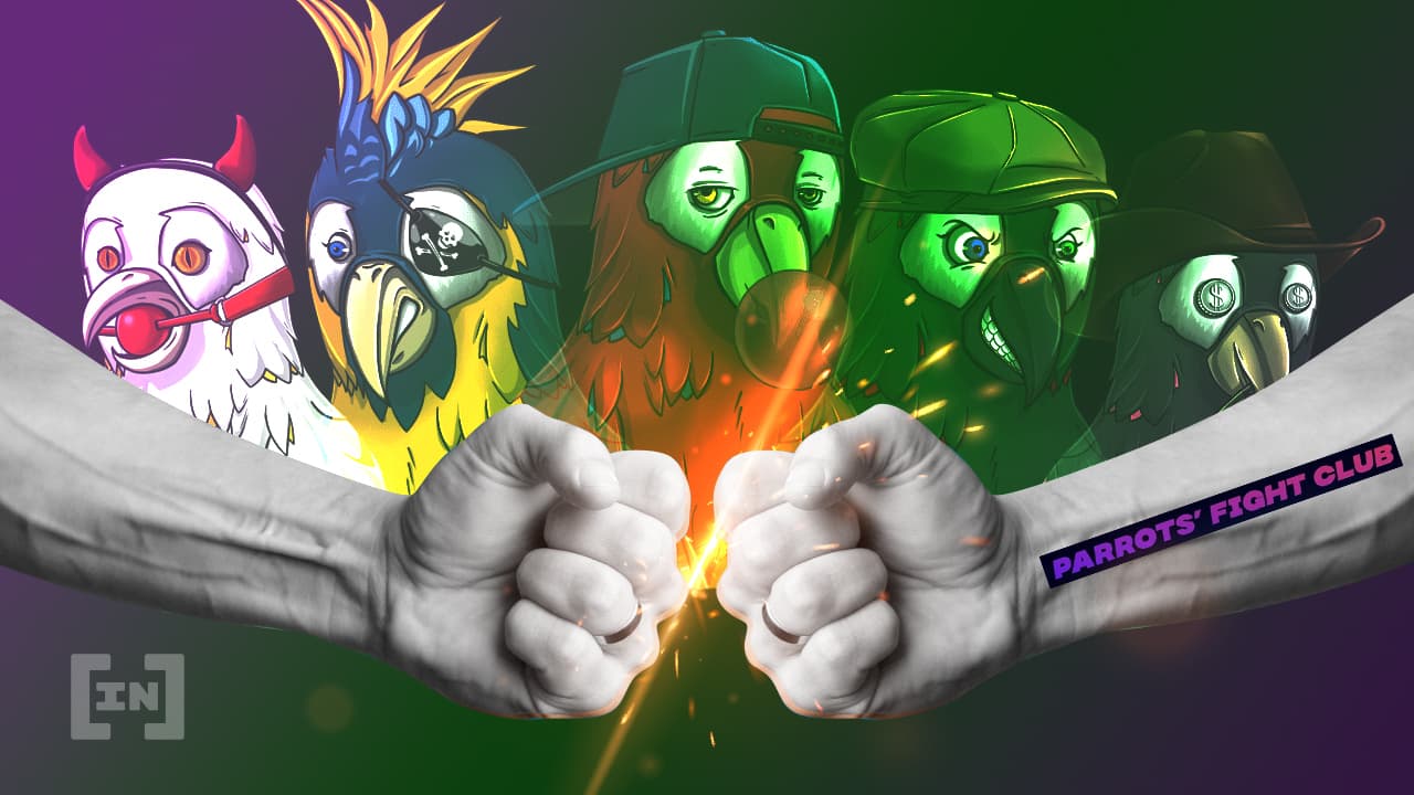 Parrots&#8217; Fight Club, game no estilo Street Fighter, lança coleção NFT