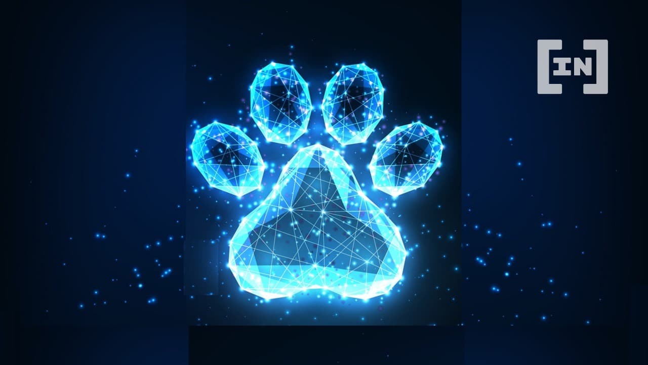 Filhotes na blockchain: iniciativa vende cachorros por NFT