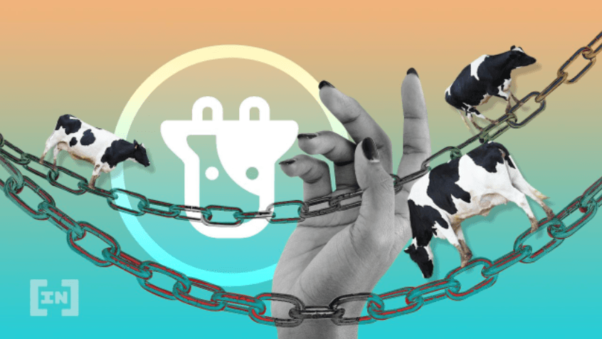O que é Beefy Finance &#8211; Guia para iniciantes