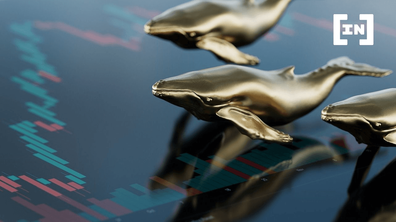 Movimentação das baleias, novas memecoins e recorde de hacks são destaques da semana