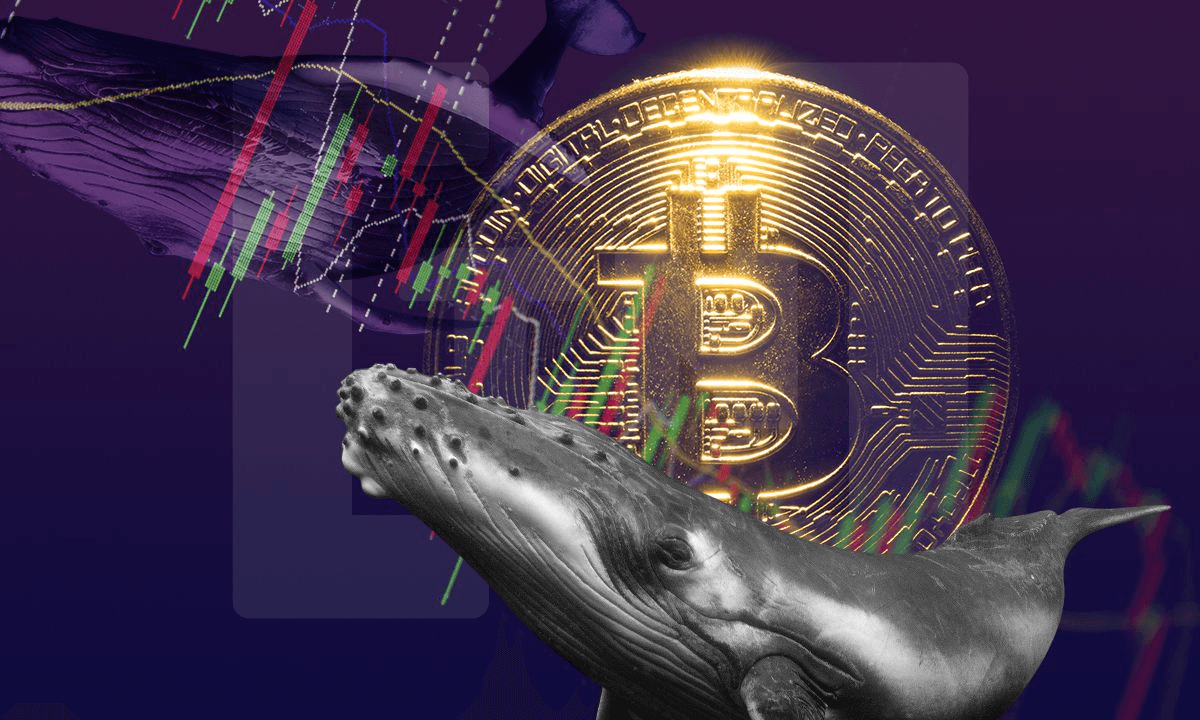 Baleias de Bitcoin (BTC) continuam acumulando durante inverno cripto