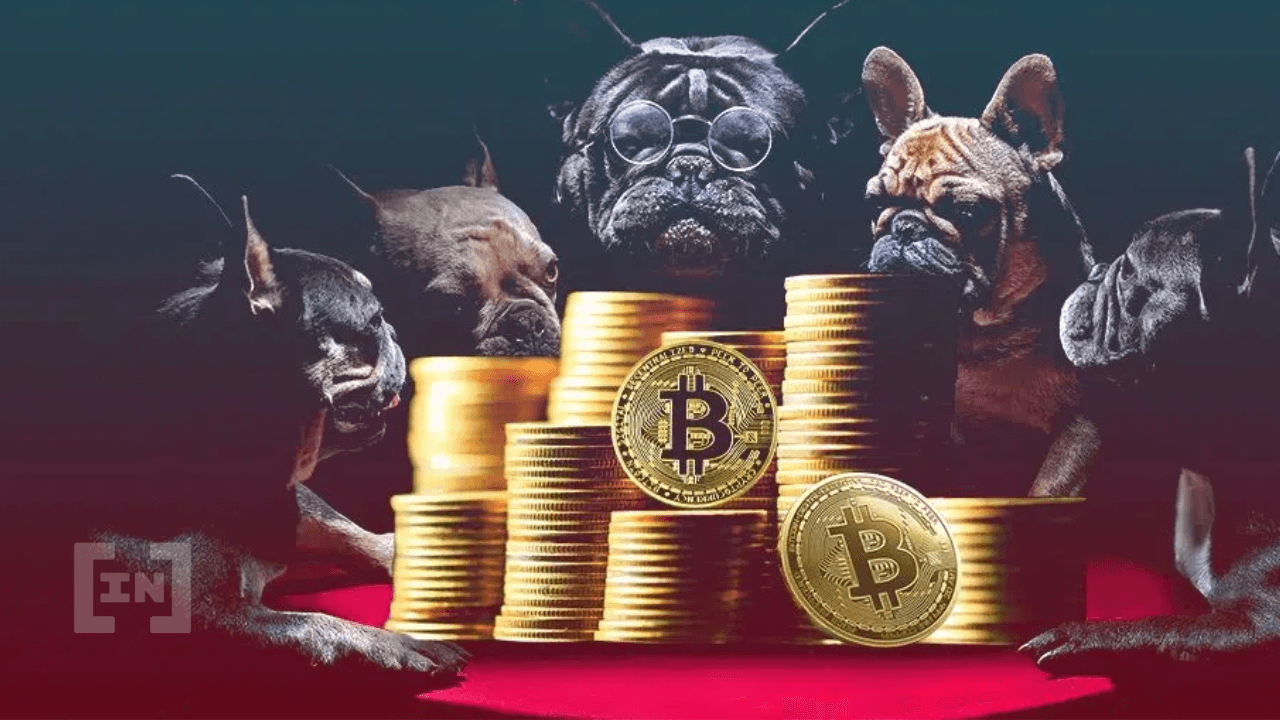 Bitcoin (BTC) segue em acumulação; fundo de preço à vista?