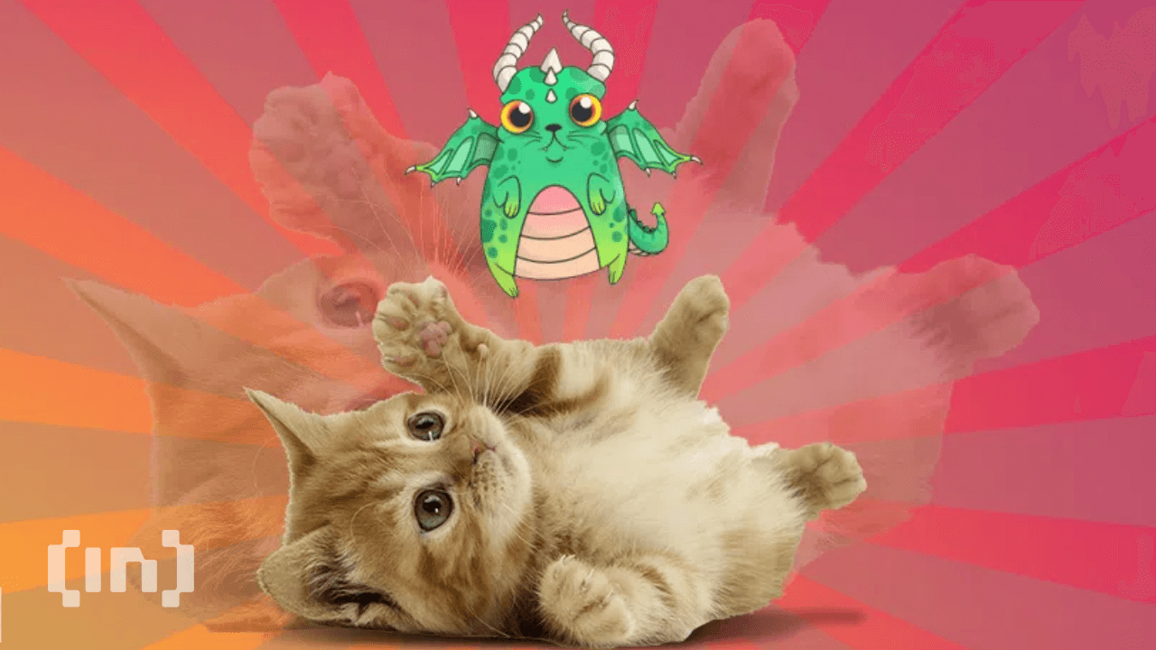Cryptokitties a caminho de se tornar filme em Hollywood