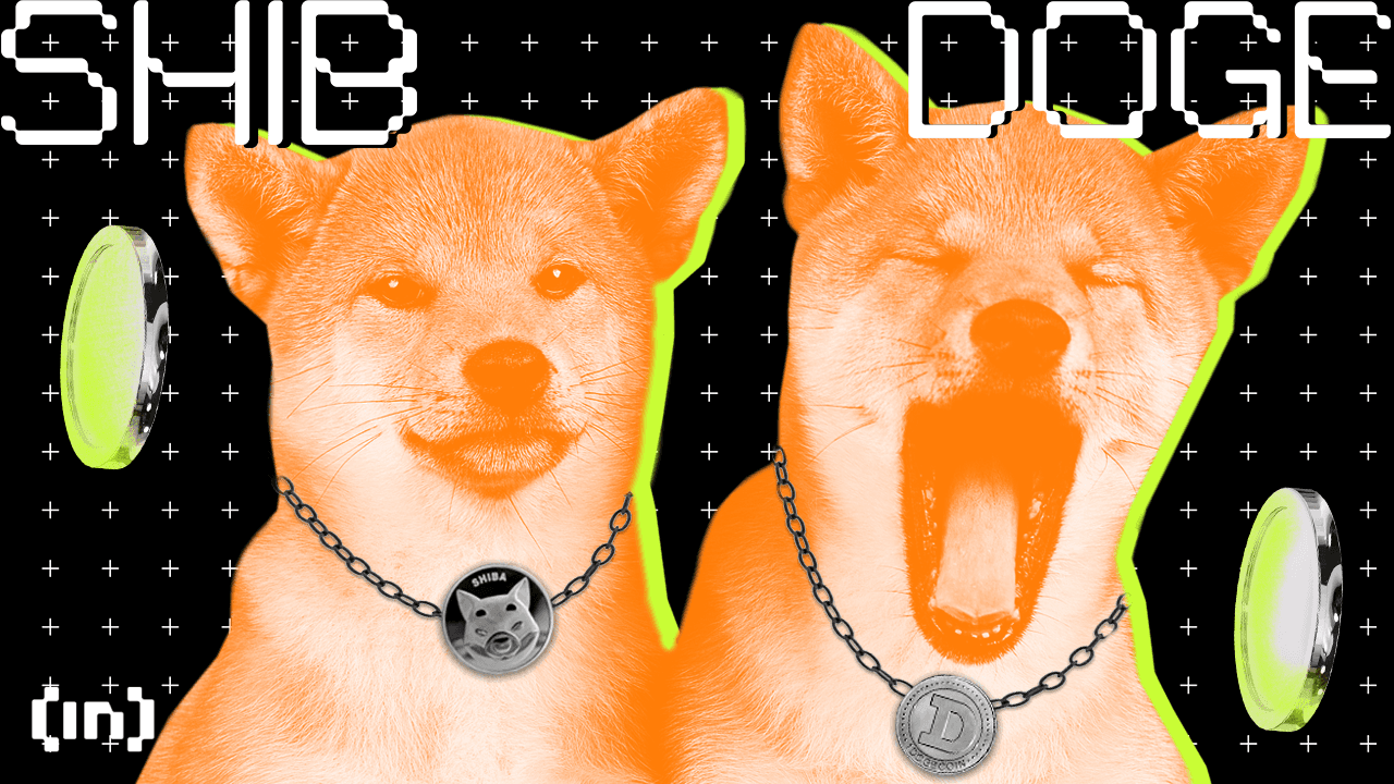 Memecoins: os riscos que ocorrem com a manipulação de liquidez