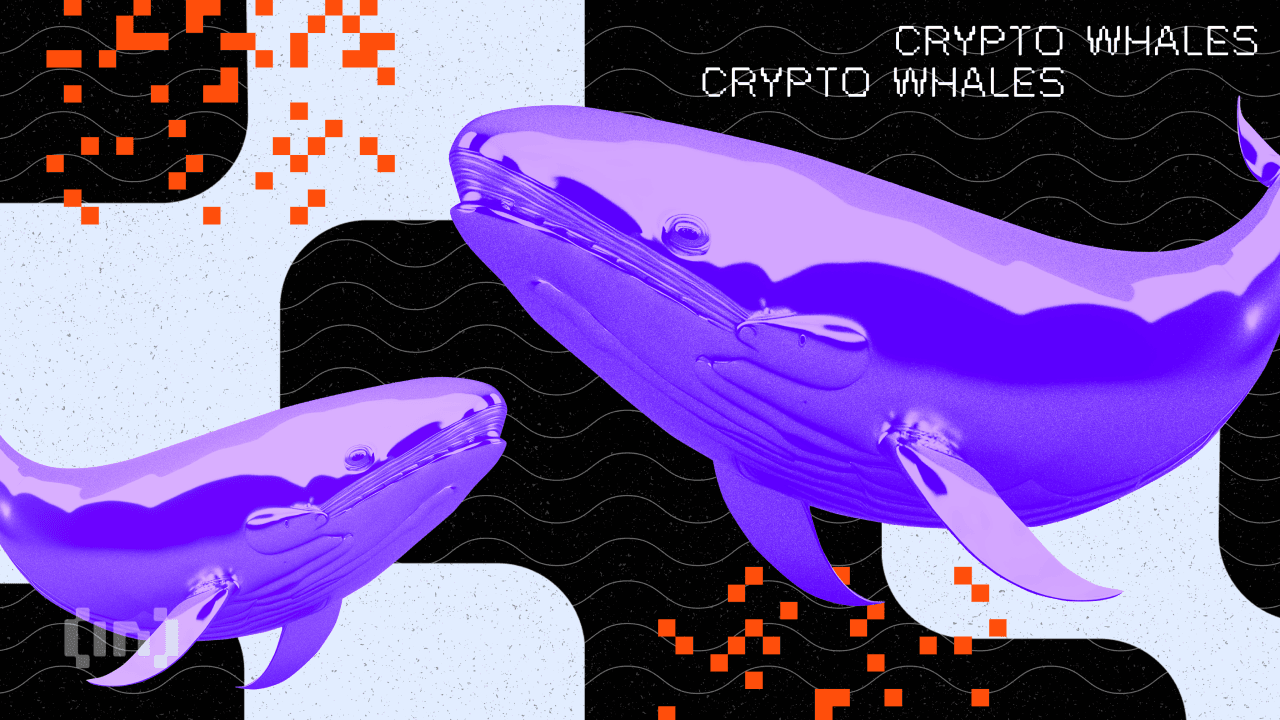 Tendência de alta à vista na Cardano? Baleias voltam a comprar ADA em massa