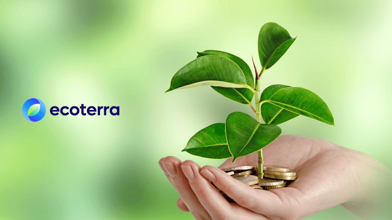 Mark Cuban investirá nesta nova criptomoeda ecológica? Após KlimaDAO, ecoterra é a nova aposta do mercado&nbsp;
