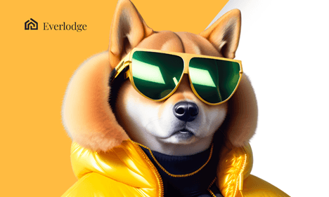 Criptomoedas mais importantes para diversificar seu portfólio: Solana, Cardano, Bitcoin, Everlodge, Ethereum, Shiba Inu, Dogecoin