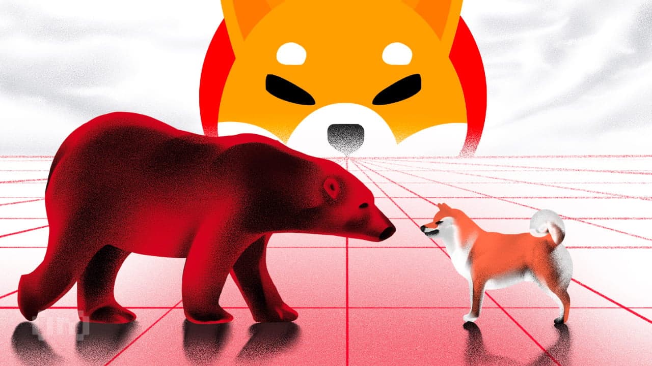 Ursos da Shiba Inu (SHIB) ganham terreno após queda de 22%