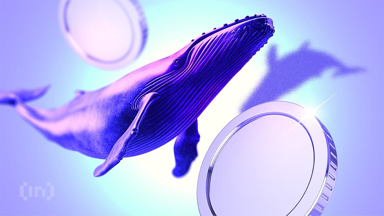 Quem é James Wynn? Baleia da Hyperliquid fez US$ 87 milhões