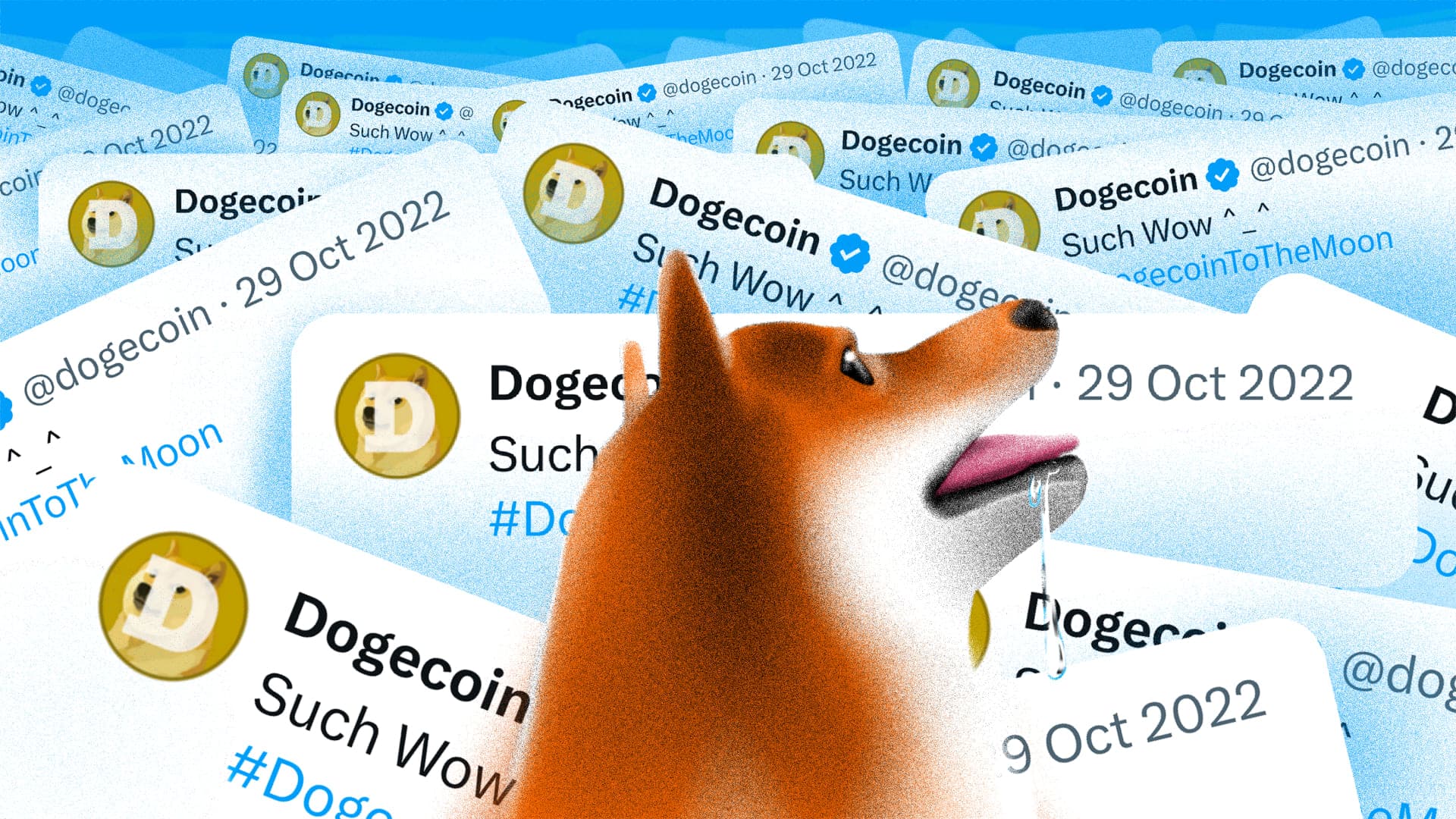 Dogecoin (DOGE) pode disparar 90% com novo &#8216;Efeito Musk&#8217;