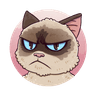 Grumpy Meme