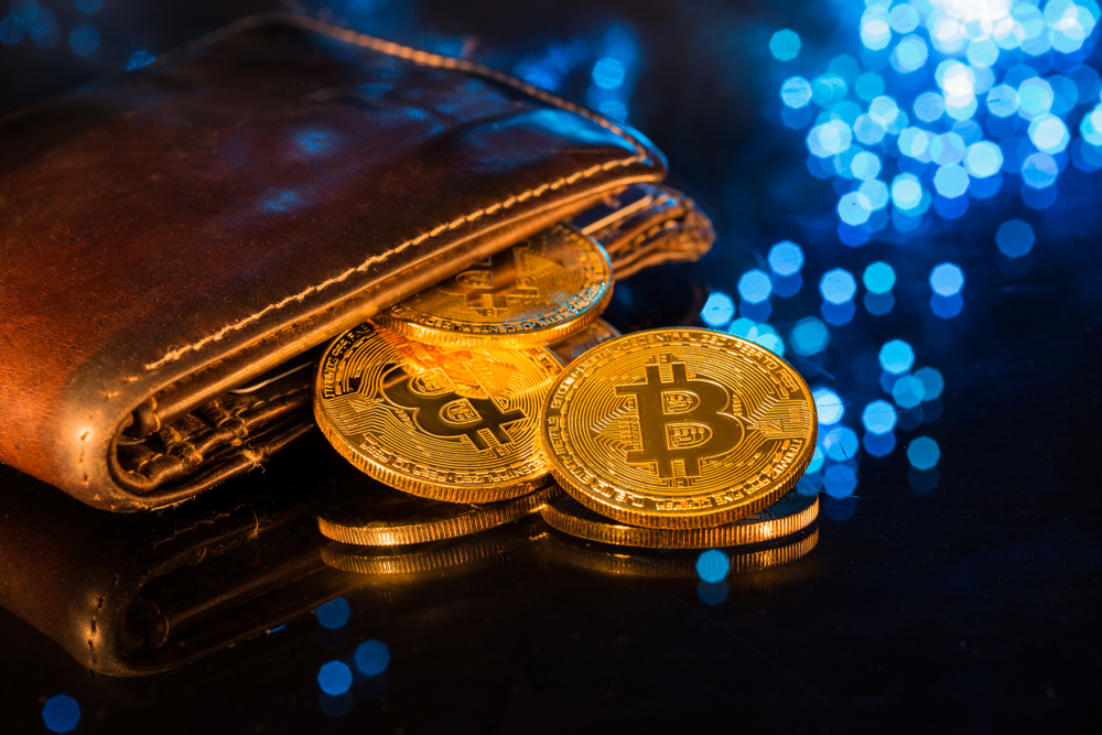 carteira bitcoin perdida