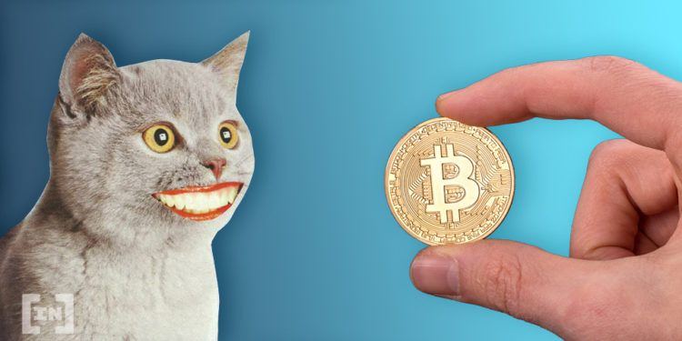 Preço do Bitcoin em US $ 100 Mil Mais Provável do Que Nunca, Defendem Analistas