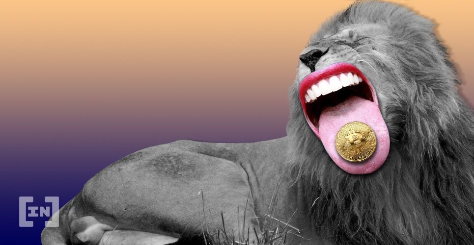 Bitcoin pode determinar em breve a direção de sua tendência