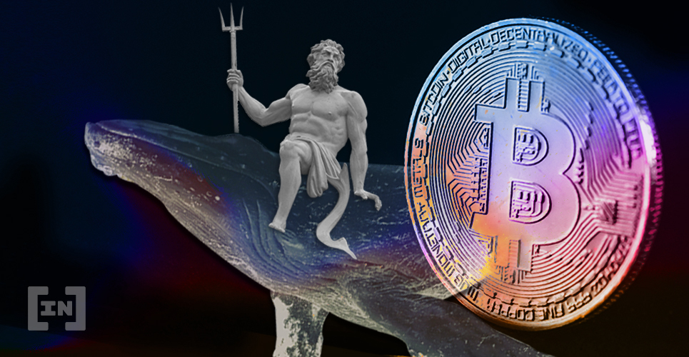 métricas bitcoin