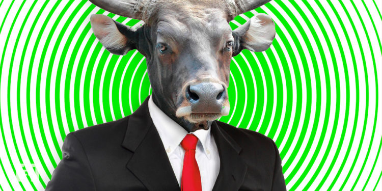Bull Market