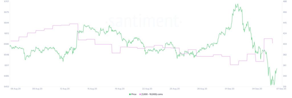 ethereum_eth_baleia
