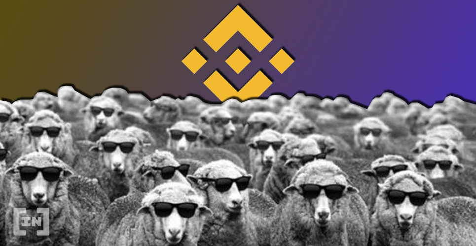 binance investidores institucionais