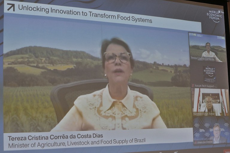 Tereza Cristina blockchain 