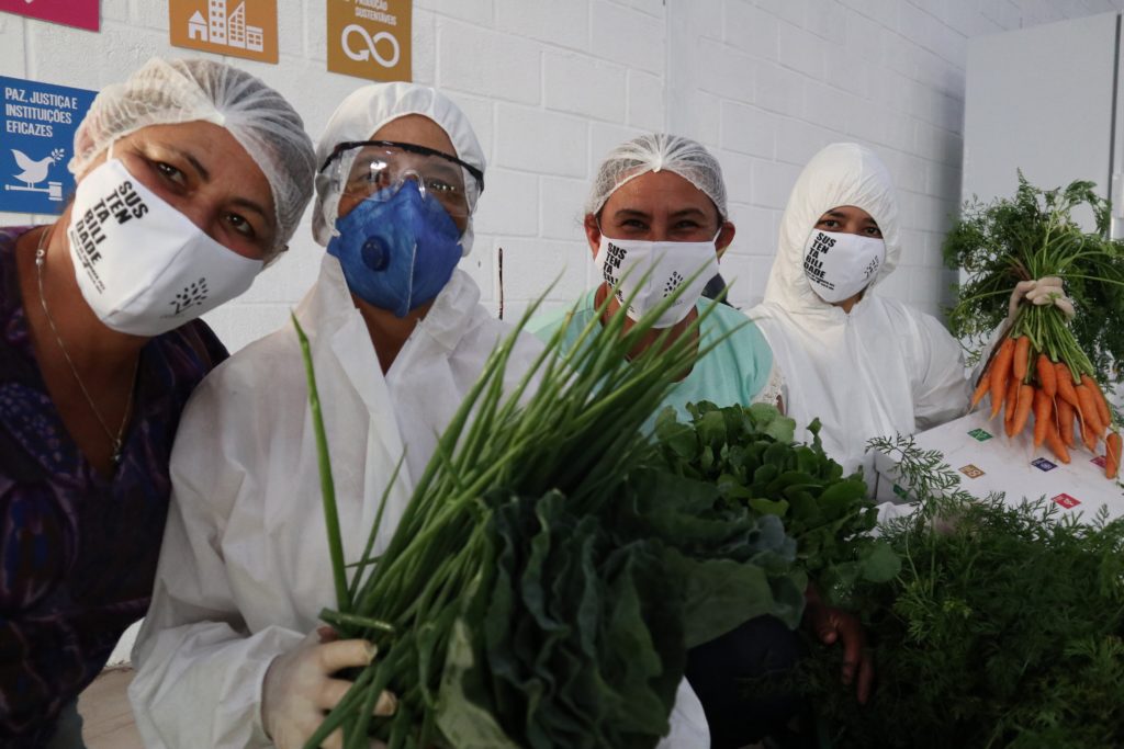 Moeda Semente agricultores