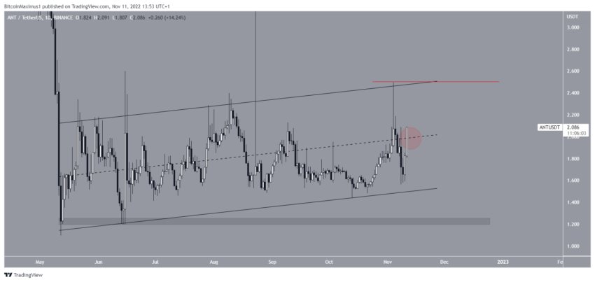 PEOPLE, DYDX, CHSB, ANT, BNX sustentam ganhos em meio ao crash do mercado - análise das melhores da semana