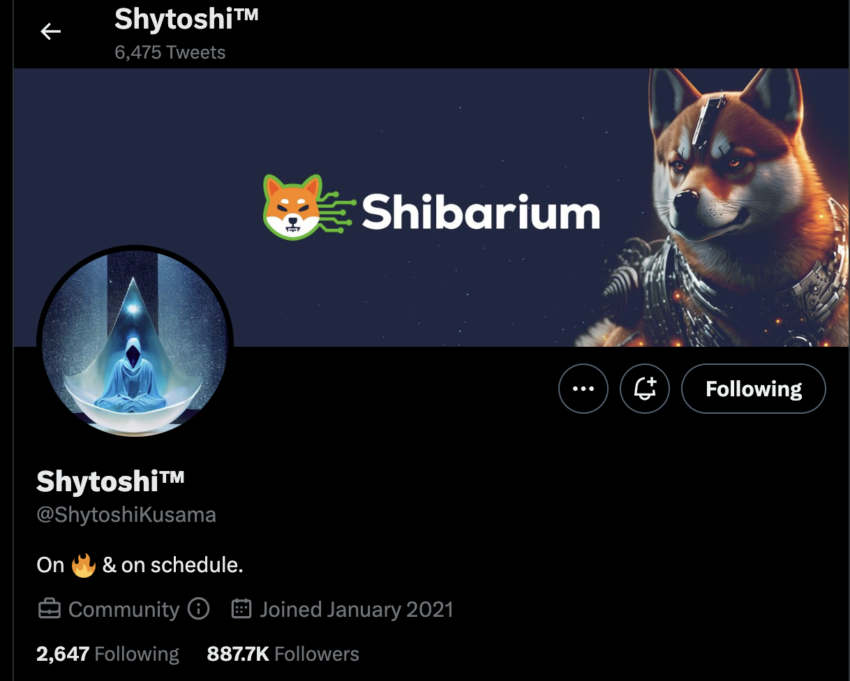 No Top 100! Shibarium volta a impulsionar a ShibaSwap (BONE)