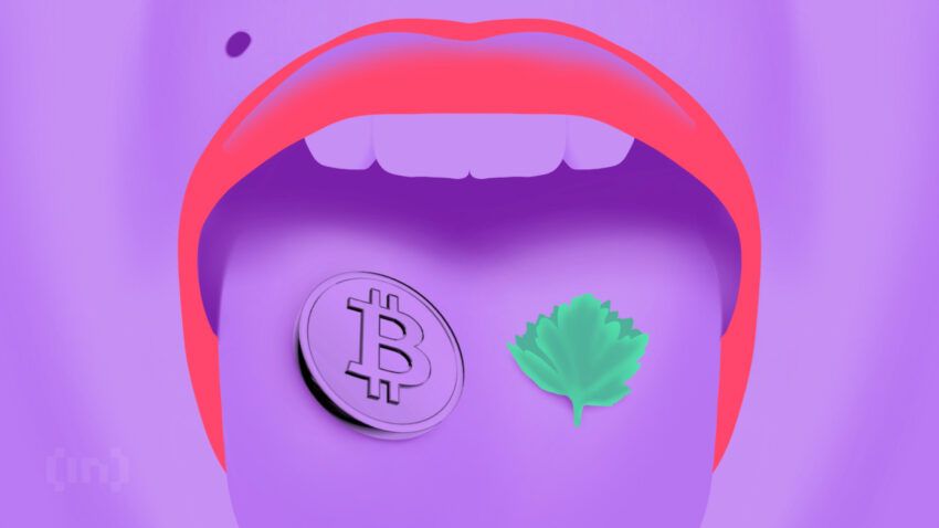 criptomoedas são o coentro das finanças