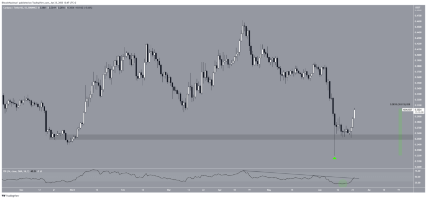 Cardano dispara 40%: o que está impulsionando o rali?