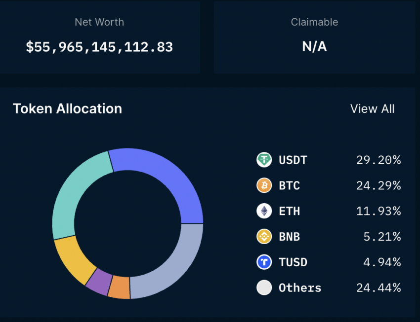 Binance em crise? Exchange segue perdendo força no mercado