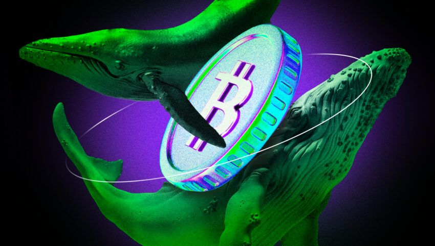 HODLing de Bitcoin por um ano atinge máxima histórica