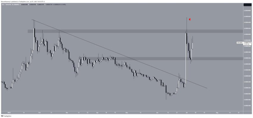 5 Altcoins de melhor desempenho nesta semana