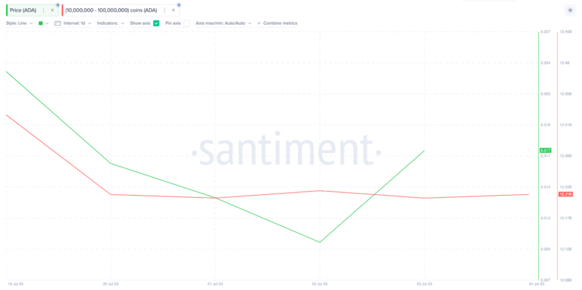 Cardano (ADA): O volume de transações atinge o pico de 3 meses - o que vem a seguir?