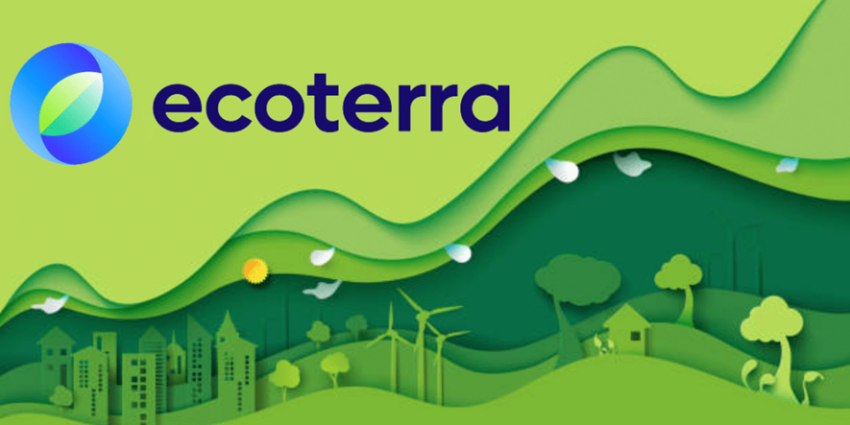 Comprar tokens em pré-venda aumenta chance de lucro