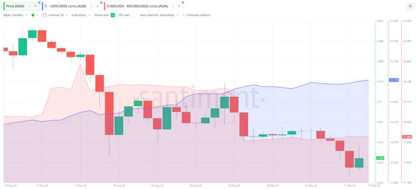 Cardano (ADA) em disputa: touros e ursos lutam para controlar tendência